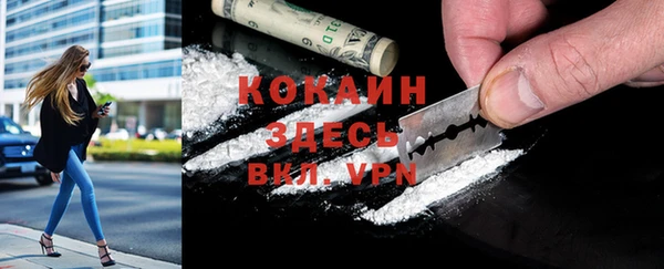 spice Няндома