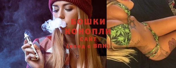 spice Няндома