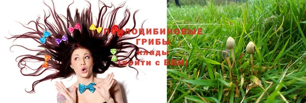 соль ск Нягань