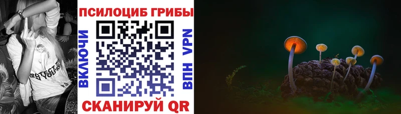 Псилоцибиновые грибы мицелий  Краснотурьинск 